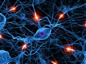 Heilfasten nach neuesten wissenschaftlichen Erkenntnissen